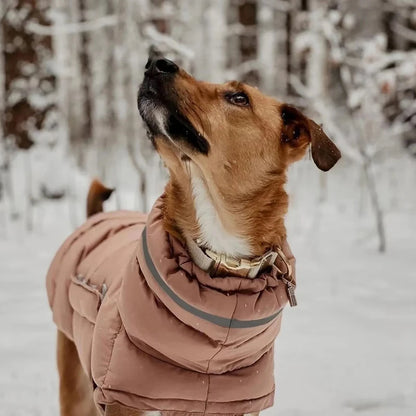 Pet Dog Winter Warm Coat Clothes Down Jacket Waterproof Fleece Vest Thicken Coat Clothing for Dogs Puppy Cats Pet costume