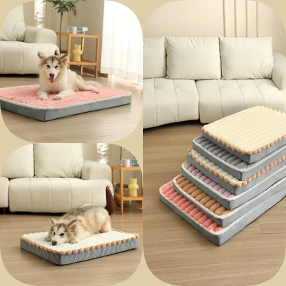 Dampproof Washable High Rebound Memory Sponge Dog Bed Detachable with Zipper Comfortable Pet Cushion Four Season Universal