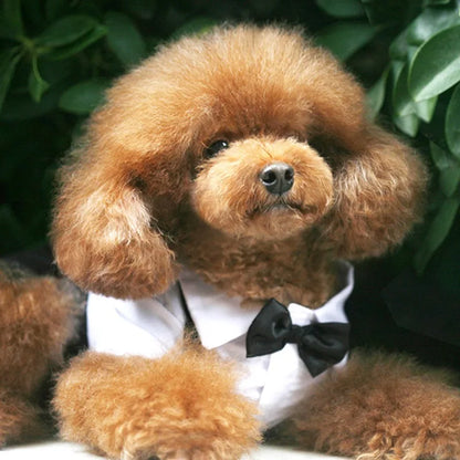 Costume Pet Dog Tuxedo Suit Cat Dog Wedding Birthday Party Formal Shirt with Bow Tie for Puppy Small Medium Dogs Costume Clothes