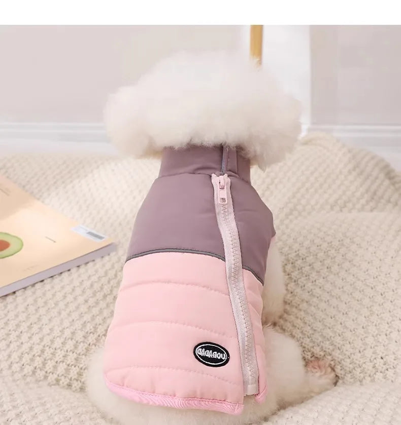 The Dog's Clothes Are A Small Cotton Vest with A Zipper, Similar To A Yorkshire Terrier or Dachshund Pet Clothing.