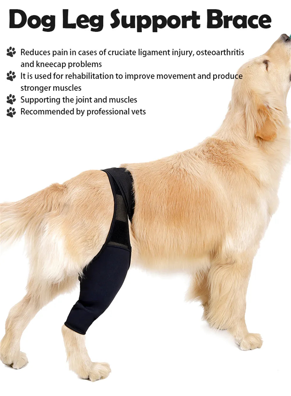 Dog Knee Brace Injury Recovery Fixed Support Brace Pet Leg Pain Relief Joint Wrap Brace For Elderly Disabled Injured Dogs
