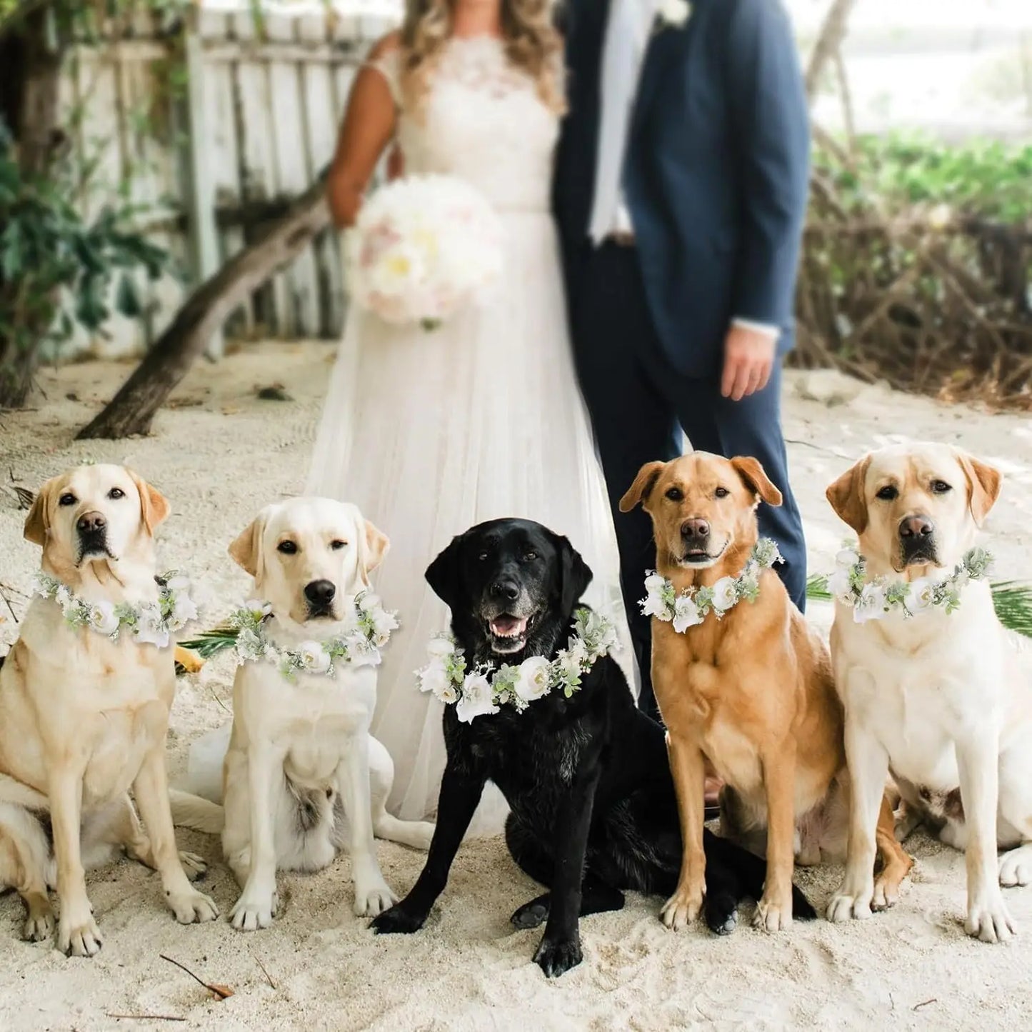 the BRIDAL BESTIE - Adjustable Elegant Dog Wedding Flower Collar for Medium/Large Dogs/Cats, Pet Wedding Photo Props, Costume Accessories