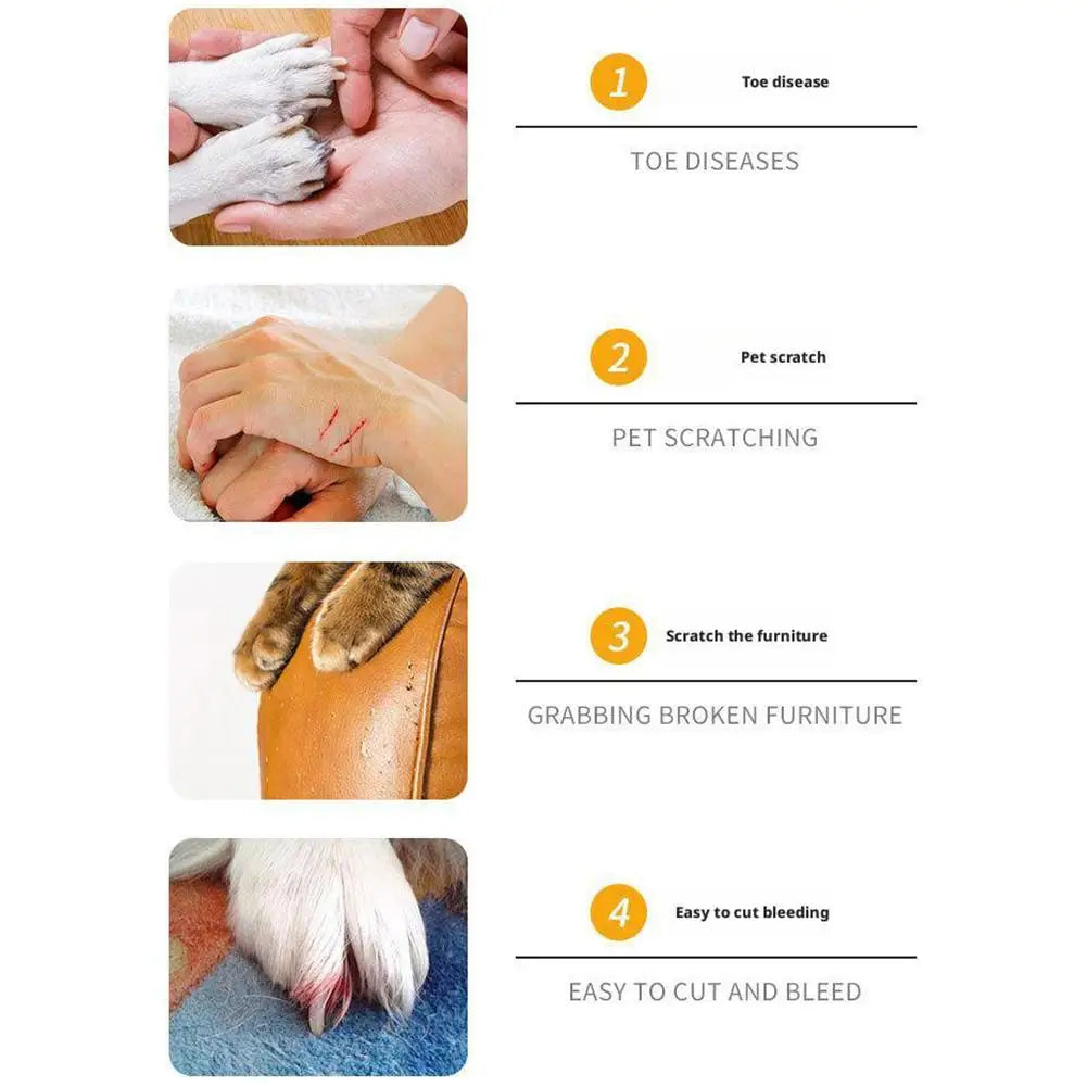 the PAWTRIM RECHARGE PRO - New Electric Nail Clippers for Dog, Nail Grinders, Rechargeable USB Charging, Pet Quiet Cat/Dog Paws Nail Grooming, Trimmer Tools