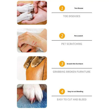 the PAWTRIM RECHARGE PRO - New Electric Nail Clippers for Dog, Nail Grinders, Rechargeable USB Charging, Pet Quiet Cat/Dog Paws Nail Grooming, Trimmer Tools