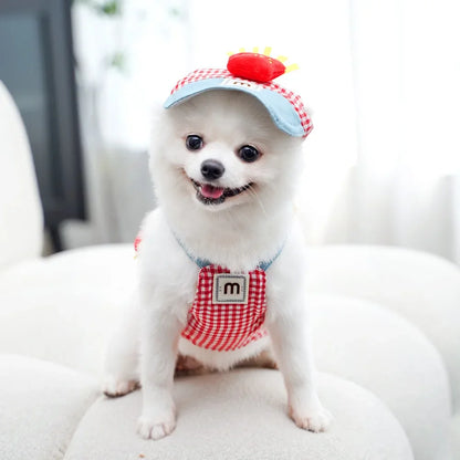 Three-piece Set Pet Cat Dog Chest Harness Traction Rope and Sun Hat Set Spring Summer Breathable Puppy Harness Dog Baseball Cap