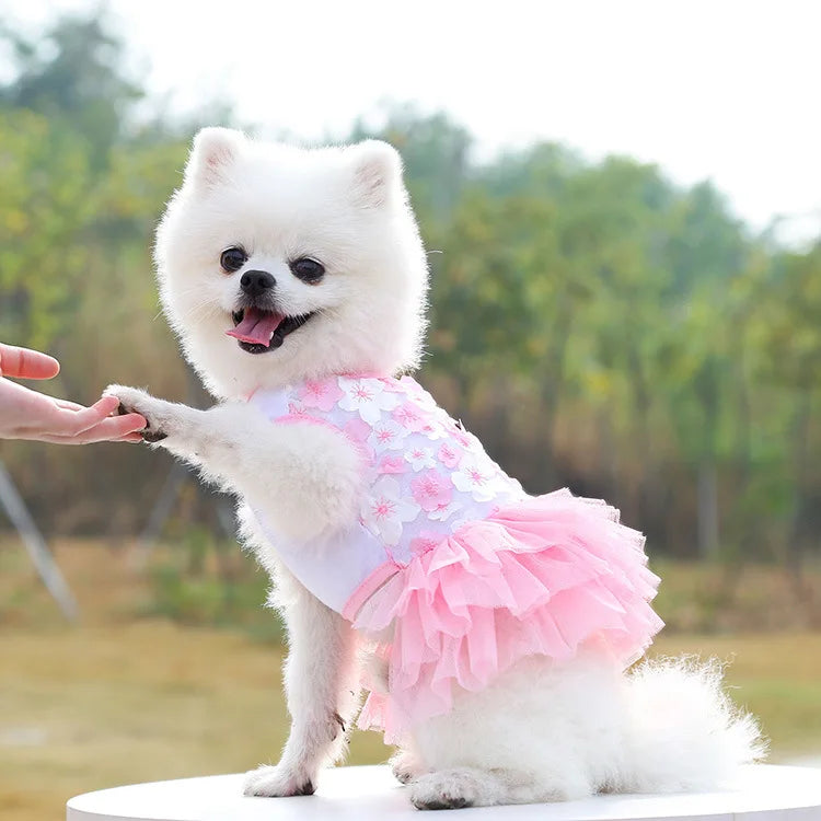 Lace Chiffon Dress for Small Dog Floral Dress Party Birthday Puppy Wedding Dress Summer Cute Costume Clothes for Pet Dogs Cat