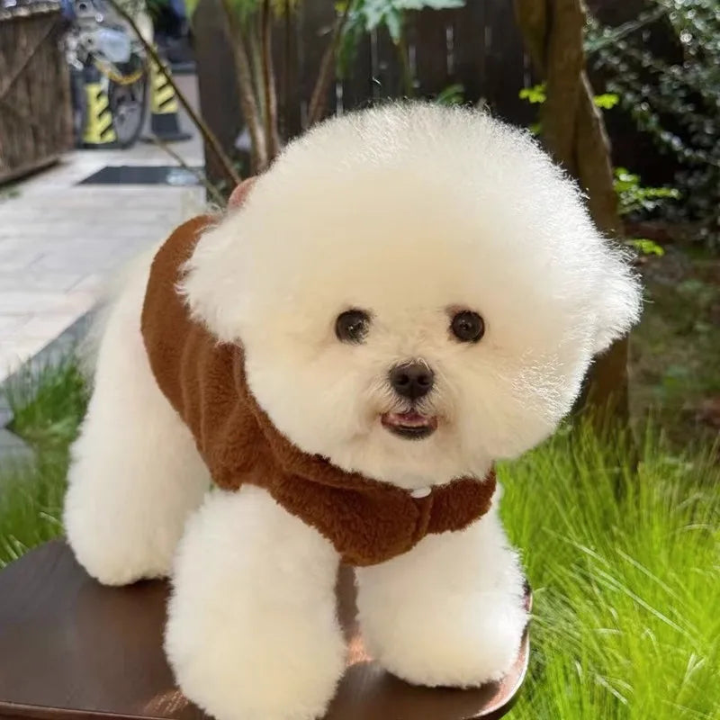 Winter Dog Coat Thick Warm Fleece Dog Jacket Pet Hooded Sweatshirt Chihuahua Bichon Dachshund Dog Clothes Kitten Puppy Overalls