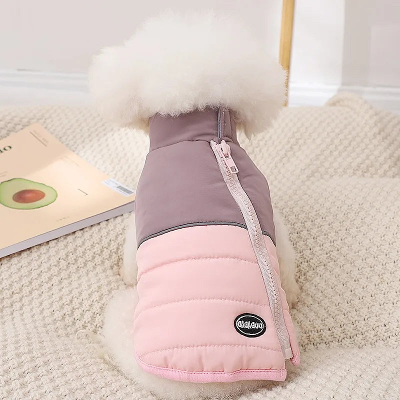 The Dog's Clothes Are A Small Cotton Vest with A Zipper, Similar To A Yorkshire Terrier or Dachshund Pet Clothing.