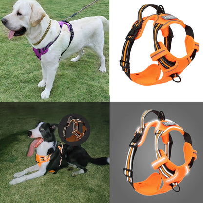 the REFLECTAGUARD PADDED HARNESS - Dog Harness, Pet Harness with Pull - 1 Leash Clip, Adjustable Padded Dog Vest, Reflective Non-Choking Pet Vest with Free Nameplate