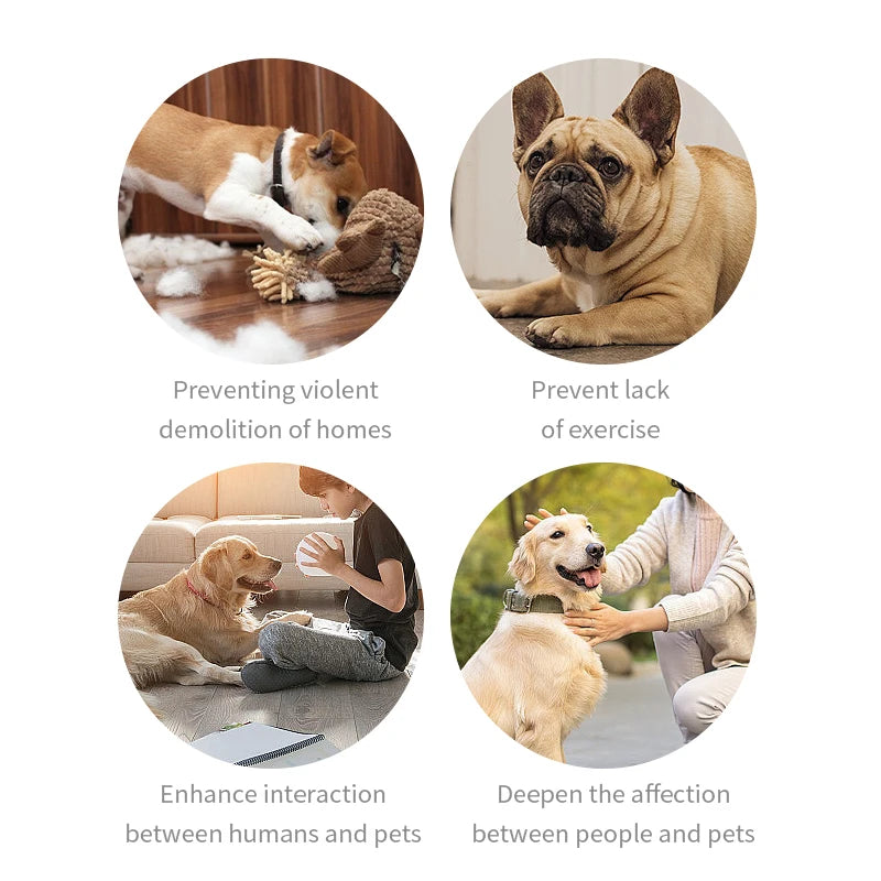 Pet Communication Button Dog Toys Recordable Pet Speaking Training Dog Talking Button Cute Claw Print Pattern Dog Accessories