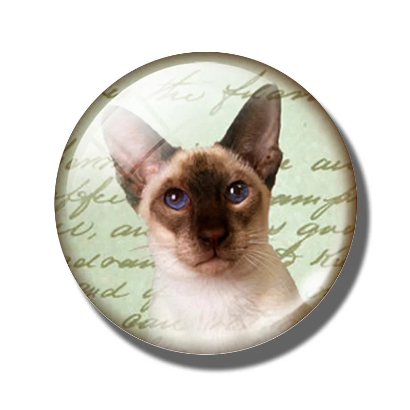 Yellow Brown Dachshund 30MM Fridge Magnet Handmade Weiner Dog Glass DomeRefrigerator Magnets Sticker Cute Animals Kitchen Decor