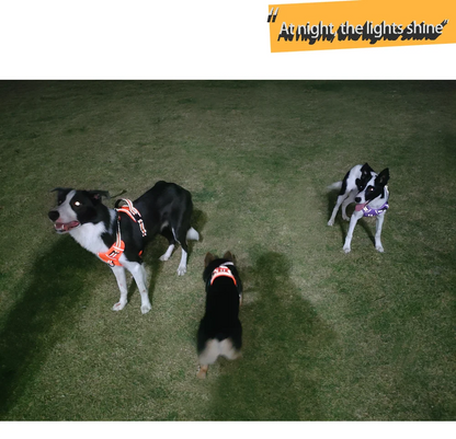 the REFLECTAGUARD PADDED HARNESS - Dog Harness, Pet Harness with Pull - 1 Leash Clip, Adjustable Padded Dog Vest, Reflective Non-Choking Pet Vest with Free Nameplate