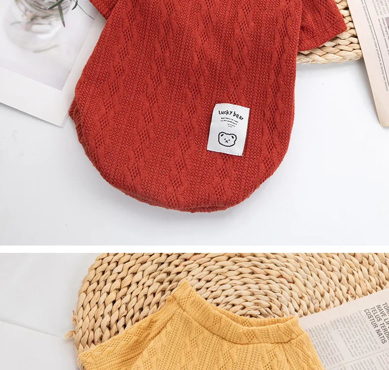 Winter Dog Clothes For Small Dog Designer Luxury Jersey Wool Dog Sweater For Chihuahua York Bulldog Sphynx Cat Knitting Clothing