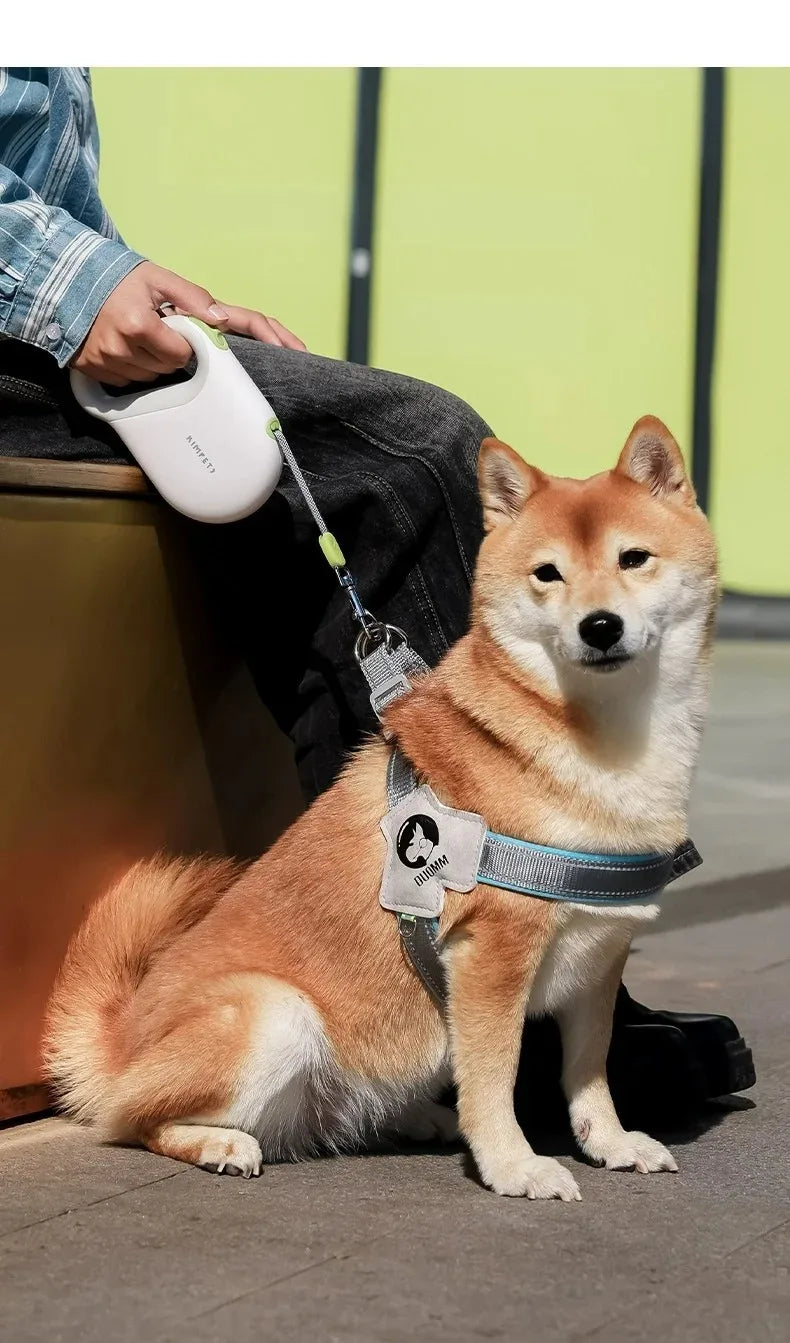 the ELITEWALK DOG LEASH - Big Dog Leash, Large Dog Harness, Straps for Dogs, Controllable Safety Explosion-Proof Dog Rope Strip, Dog Traction, Walking Outdoor