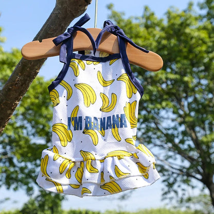 Puppy Kitten Dog Cat Pet Cartoon Spring Summer Autumn Cotton Clothes Clothing Vests Coats Jackets Shirt Dresses Costume