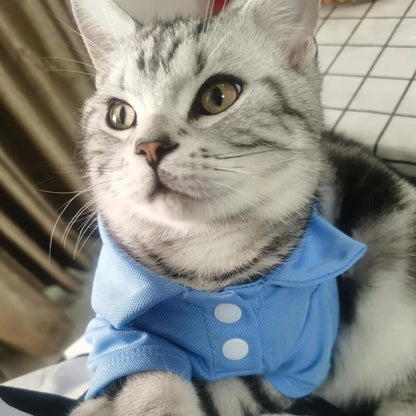 the CANDYPAW COOL TEE - Summer Pet Vest, 6 Candy Color Shirts, Puppy Breathable Solid Polo-Shirts, Chihuahua/Yorkie Fashion Vests, Dog Costume, Pet Clothing