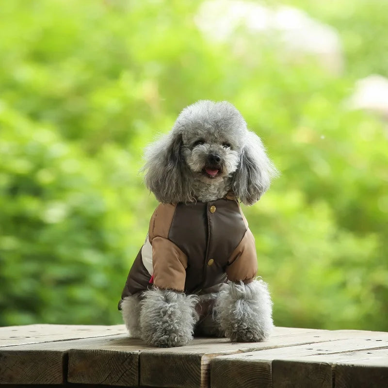 Dog Jacket Waterproof Luxury Dog Clothes Pet Down Cotton Vest Chihuahua French Bulldog Winter Dog Coat Puppy Warm Dog Costume