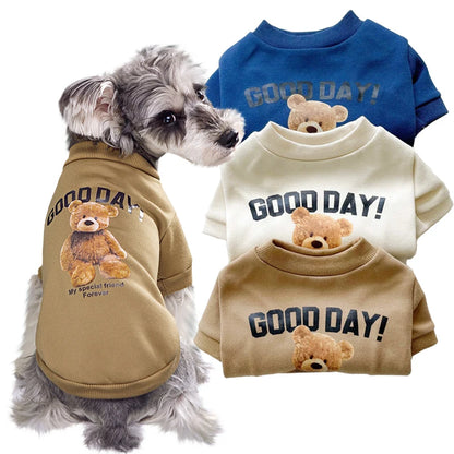 the GOOD DAY TEDDY - Pet Clothes, Cartoon Bear Pet Shirt, Puppy Clothes, Pet Jacket for Small/Medium Dog/Cat, Chihuahua Costume, Dogs Winter Cute Costume