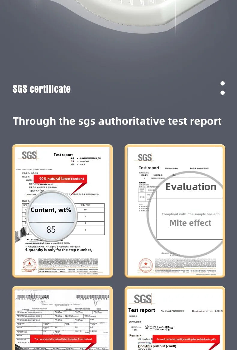 Natural Latex Pet Bed Winter Warm Dog Nest Removable Pet Sleeping Mat Anti-Mite and Antibacterial Cat Bed Soft Foam Pet Mattress