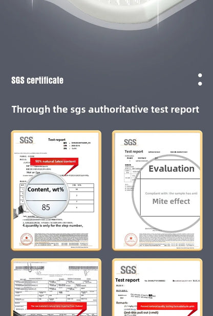 Natural Latex Pet Bed Winter Warm Dog Nest Removable Pet Sleeping Mat Anti-Mite and Antibacterial Cat Bed Soft Foam Pet Mattress