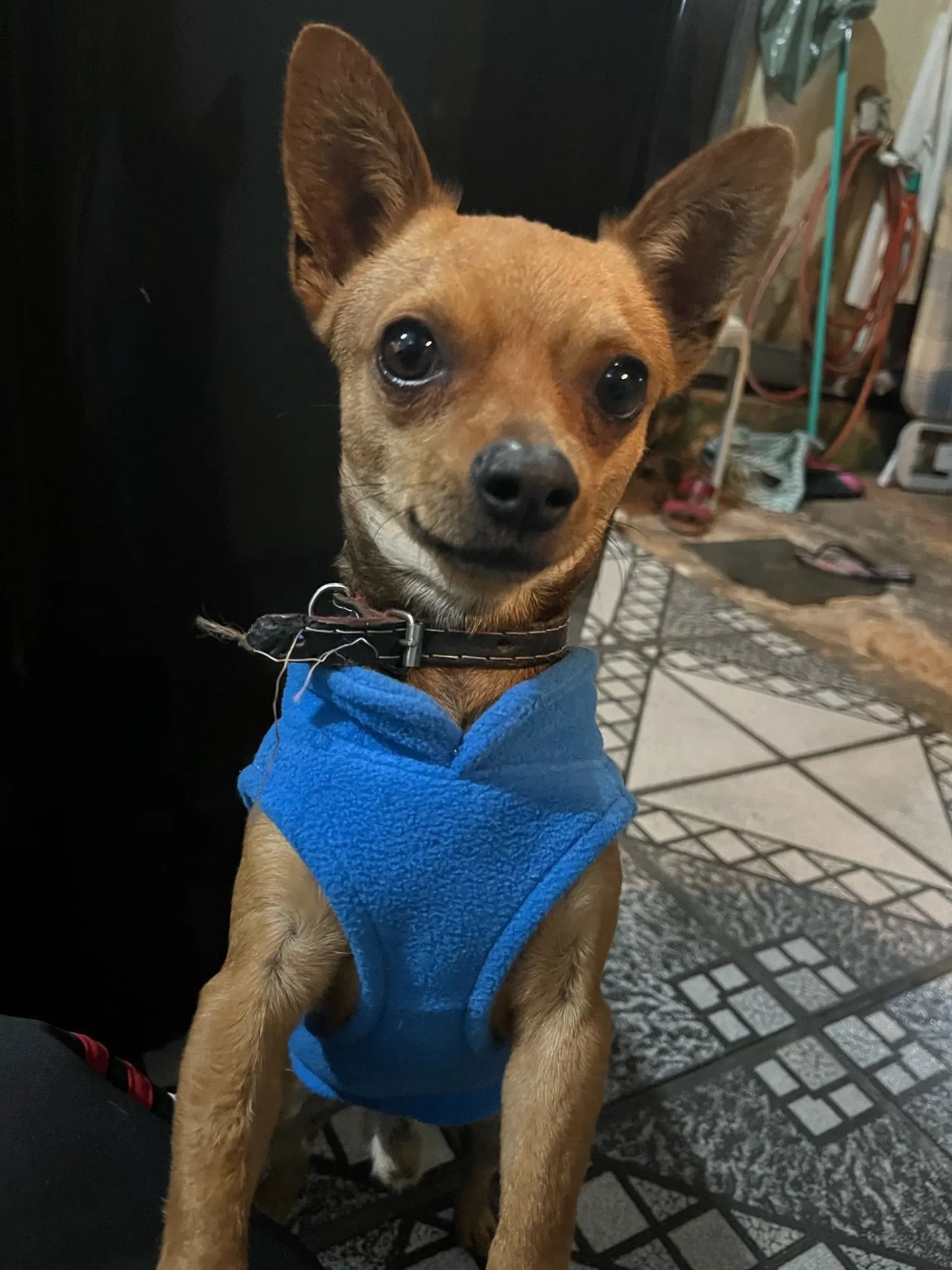 Dog Fleece Vest Chihuahua Winter Clothing For Small Dogs Warm Dachshund Dog Coat For Medium Bulldog Pitbull Maltese Dogs Jumpers