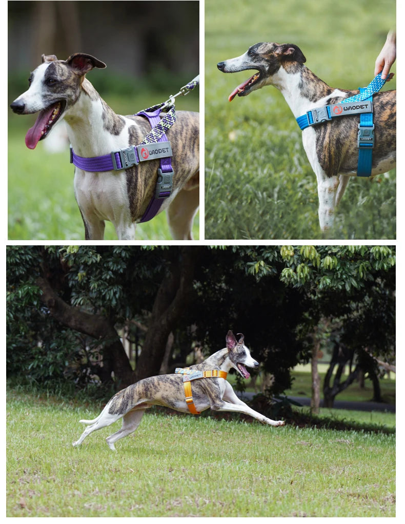 Large Pet Dog Reflective Harness Cat Chest Strap Adjustable Small Medium Dog Puppy Harness Vest Teddy Outdoor Walker Lead Leash