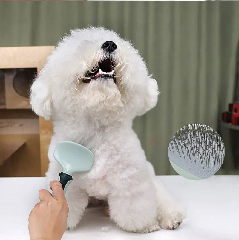 the BEAUTY TOOL SET - 8-in-1 Dog/Cat Grooming Comb Set, Pet Cleaning Brush Tool Set, Pet Multi-Functional Cleaning Set, Cat/Dog Hair Removal Brush Kit