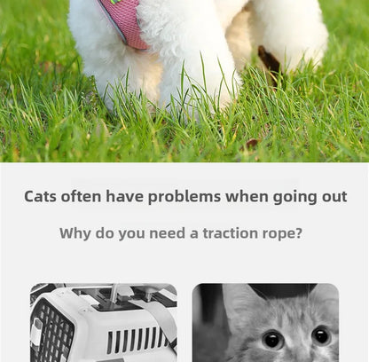 Harness for a Dog Harness Guard Harnesses for Dogs Pet Puppy Big the Small Breed Medium Anatomical Large Breeds Goods Product