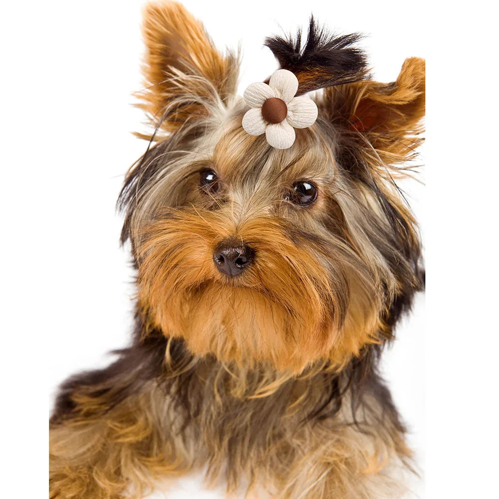 the FLOWER BOW - 10PCS Flower Shape Pet Hair Accessories for Dogs/Cats, Hair Decoration Flowers Rubber Bands, Bulk Puppy Grooming Accessories