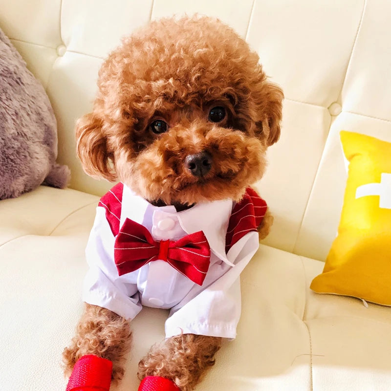 French Bulldog Pet Party Suit Tuxedo Weeding Formal Dog Clothes for Small Dogs Clothing Puppy Pug Corgi Shirts mascotas Costume