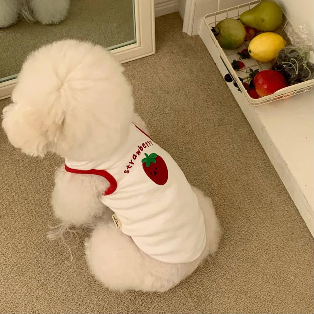 Comfortable White Dog Shirt Embroidery Teddy Pet Cat Sunscreen Shirt Puppy T-Shirt Cat Vest Small Dog Summer Clothes