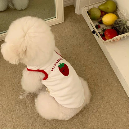 Comfortable White Dog Shirt Embroidery Teddy Pet Cat Sunscreen Shirt Puppy T-Shirt Cat Vest Small Dog Summer Clothes