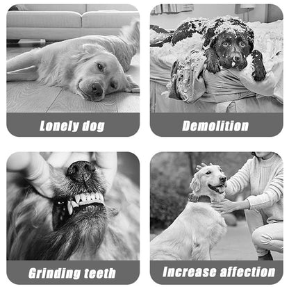 Dog Toys, Interactive Dog Balls, Jumping Ball Toys, For  USB Rechargeable Interactive Dog Toy Household Creative Pet Ball Toy