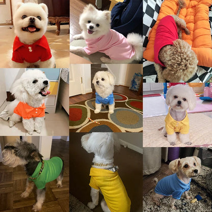 the CANDYPAW COOL TEE - Summer Pet Vest, 6 Candy Color Shirts, Puppy Breathable Solid Polo-Shirts, Chihuahua/Yorkie Fashion Vests, Dog Costume, Pet Clothing