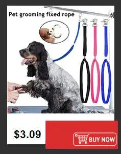 Cartoon Print Dog Diaper Physiological Pant Sanitary Puppy Shorts Underwear Small Medium Dog Cat Pants Female Dog Panties