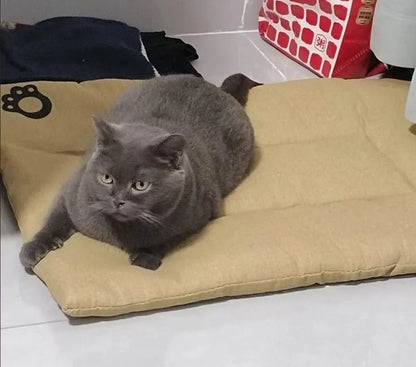 Dog Pet Beds Extra Large Dog Bed Sofa Cat Bed Four Season Cotton linen Mat Scratch-resistant wear-resistant Pet Cushion Cat Mat