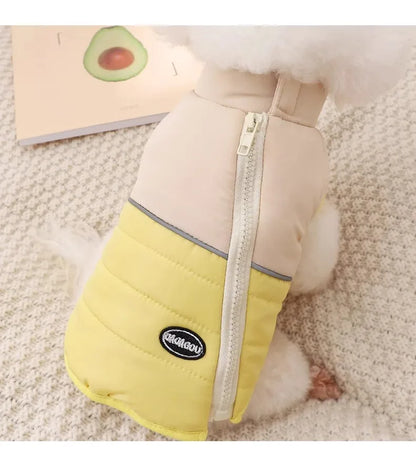 The Dog's Clothes Are A Small Cotton Vest with A Zipper, Similar To A Yorkshire Terrier or Dachshund Pet Clothing.