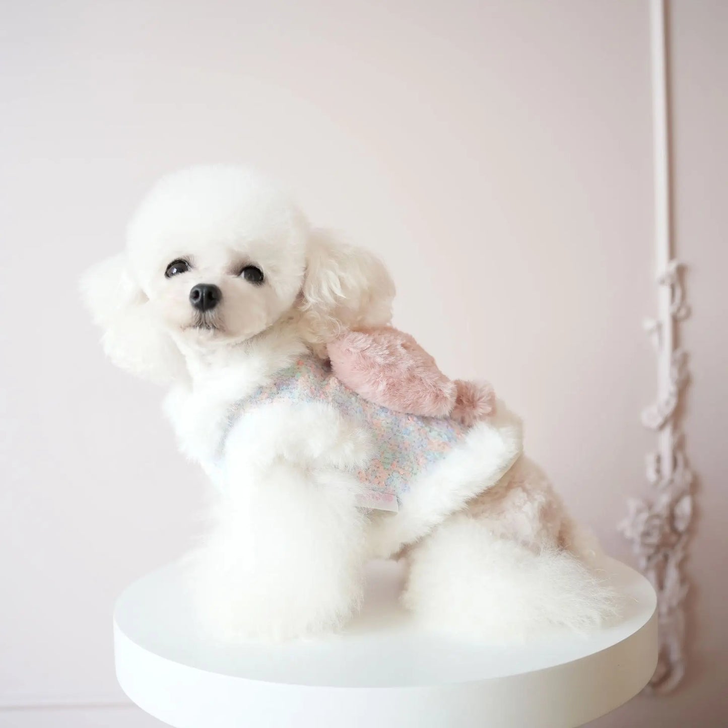 Pet Colorful Bow Set Skirt Autumn/Winter Bow Plush Coat Dress Warm Clothes Teddy Clothes Puppy Clothes for Small Dogs