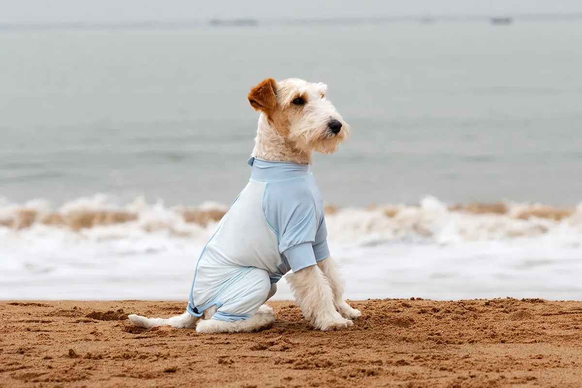 Summer Cooling Dog Vest Shirt UPF50+ Sun Protection Dog Jumpsuit Fast Drying Dirt-Proof Dog Clothing Soft Summer Outdoor Overall