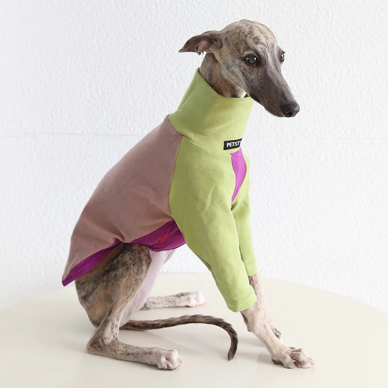 8colors Italian Greyhound Hound Two-Legged Clothes Fashionable Multicolor Soft Comfortable Elastic Fashion Patchwork Dog Clothes