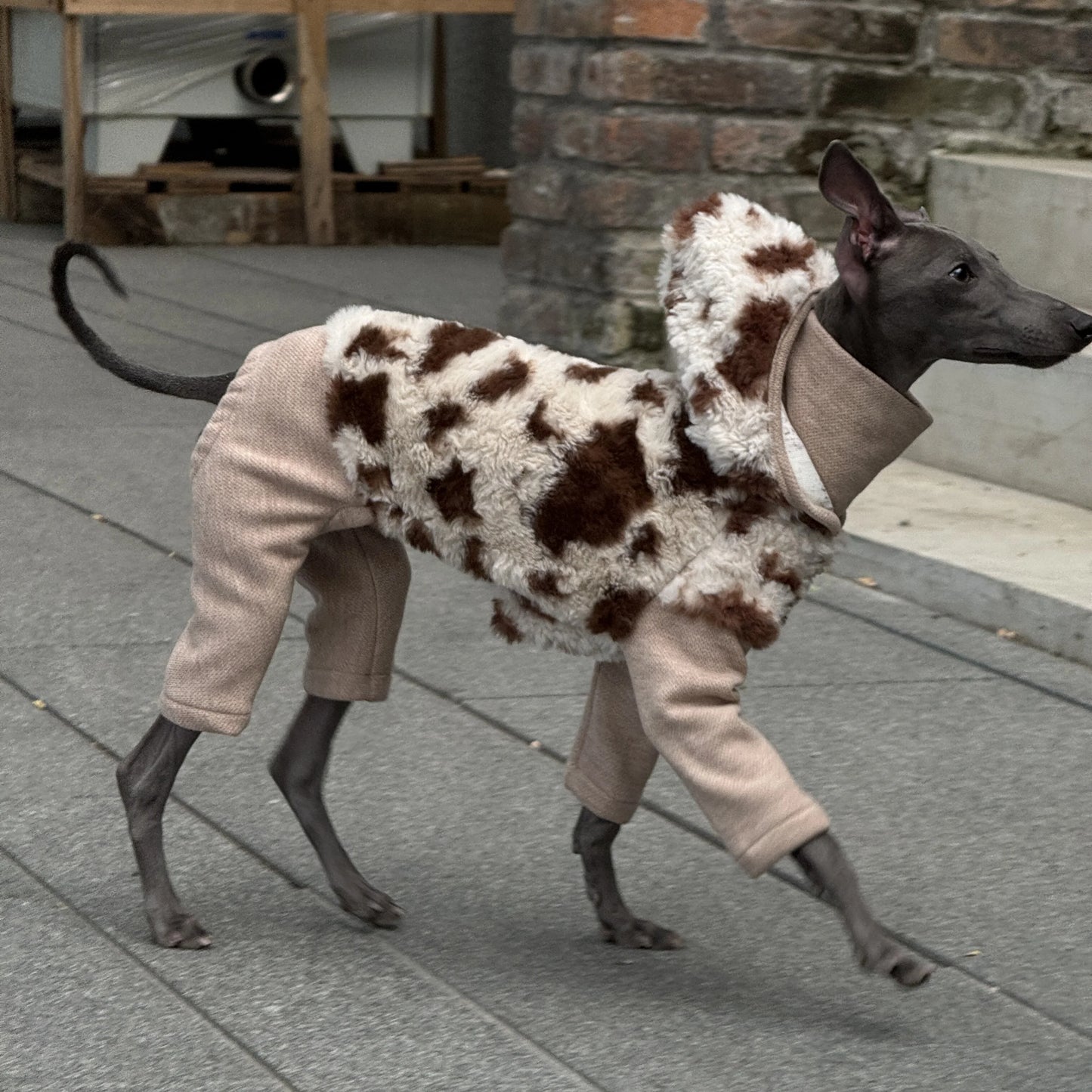 Hooded Leopard Sweater for Dogs in Winter Soft 4-legged False Two Fleece Coat for Greyhounds Warm High-neck Jumpsuit for Whippet