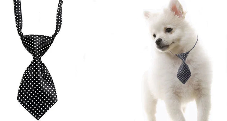 10pcs/Lot Pet Cat Dog Solid Color Multicolor Tie Fashion Grooming Dog Accessories Adjustable Puppy Tie Pet Bowtie Supplies