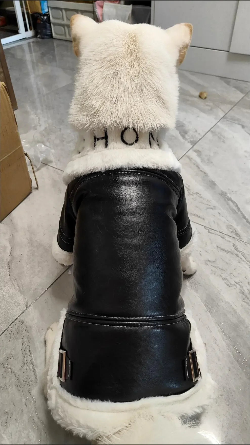 the BIKER DOG - Thickened Fur Integrated Motorcycle Jacket, Pet Clothes, Winter Clothing, Small Dog, Teddy, Pomeranian, Schnauzer