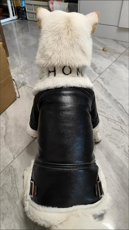 the BIKER DOG - Thickened Fur Integrated Motorcycle Jacket, Pet Clothes, Winter Clothing, Small Dog, Teddy, Pomeranian, Schnauzer