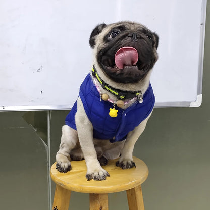 Winter Warm Dog Clothes for Small Dogs Puppy Cat Coat Soft Fleece Linner Pet Jacket Chihuahua Vest Pug Outfits Yorkie Costume