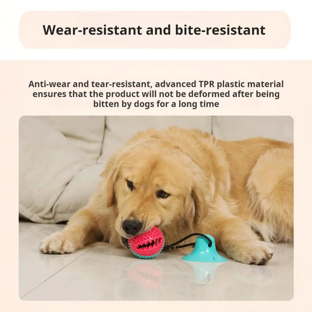 Dog Chew Toys for Aggressive Chewers Interactive Dog Suction Cup Toy Teething Rope Toy Dog Puzzle Treat Food Dispensing Ball Toy