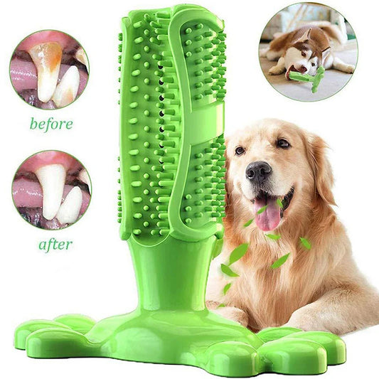 CactusChew Crunch™ | Interactive Cactus Rubber Dental Dog Toy | Dog Paw Clothing