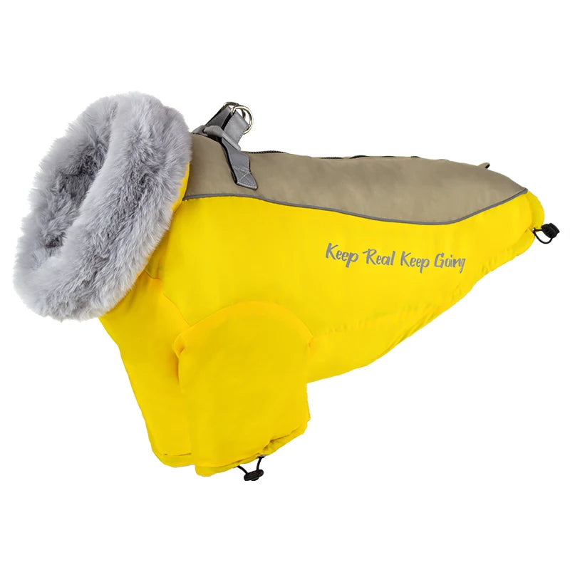 the STYLISH SNOWDOG - Big Fur Collar Pet Down Jacket for Medium/Large Dogs, Waterproof Big Dog Clothes, Winter Golden Retriever Coats