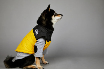 Dog Fans Punch Large Dogs Winter Warm Raincoat Anti Pet Cotton Clothing Windproof Rainproof Dog Coat