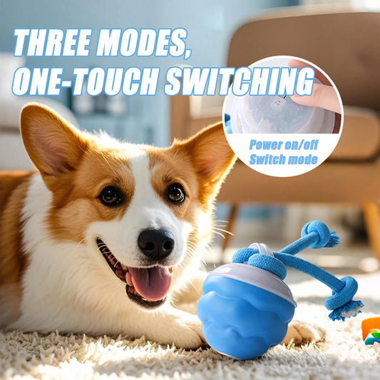 ChargeNChase Ball™ | USB Rechargeable Interactive Jumping Dog Toy | Dog Paw Clothing